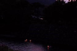 d002004022.JPG