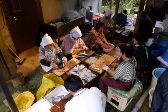 d004001001.JPG