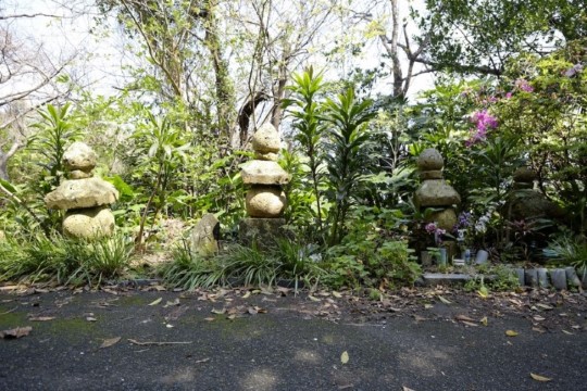 d004002001.JPG