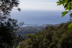 f002002011.jpg