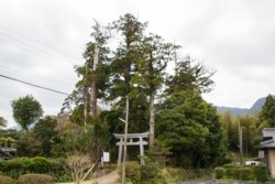 f002001001.jpg