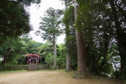 f002001004.jpg