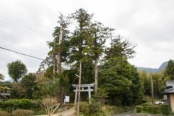 f003003001.jpg
