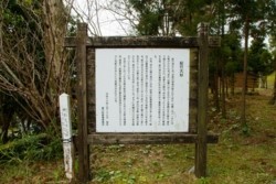 f003003002.jpg