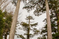 f003003006.jpg