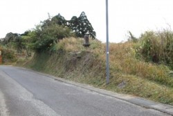 f003003012.JPG