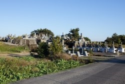 f004002011.jpg