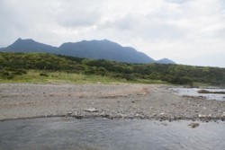 f001001011.jpg