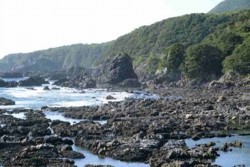 v001001005)湯泊港西の段丘崖.jpg
