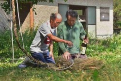 v002001002)綱の先端にお神酒.jpg