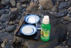 v002004006)浜の供え物.jpg
