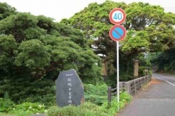 v003002001)湯泊側橋下流の文学碑.jpg