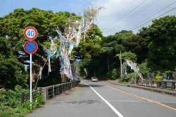 v004001002)湯泊橋とガジュマル.jpg