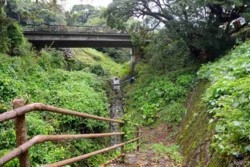 v004001004)湯泊川付近緑地.jpg