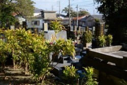v004002008)西墓地.JPG