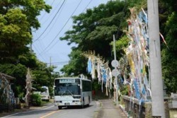 v004003011)県道の七夕.jpg