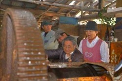 v005002018)砂糖製造見学老人.jpg