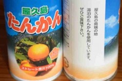 v005002026)湯泊たんかんジュース.jpg