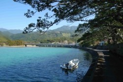 x004001002)栗生川の岸辺.jpg