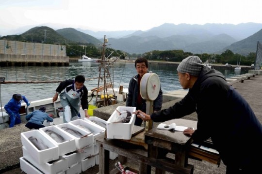 x005001001)タルメ水揚げ.jpg