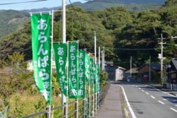 x006001025)あらんばらぁ市旗.jpg