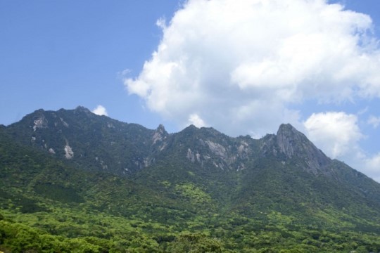 s001001001_DSC6985.jpg