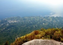 m_R000001_DSC0335.jpg