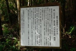 m_r002003009_DSC0646.jpg