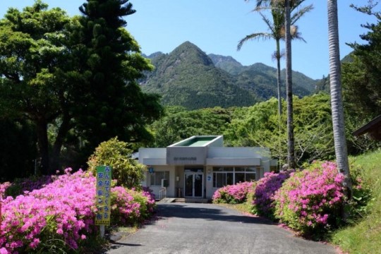 m_p001001001)公民館の後が高平岳.jpg