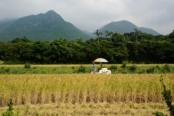m_p001001002)左高平岳.jpg