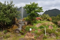 m_p005001004)噴水と花の公園.jpg