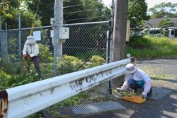 m_p005003005)県道サル柵付近.jpg