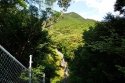 m_p005003006)サル柵作業全景.jpg