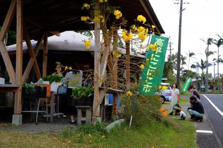 m_p005005001)高平の日曜市.jpg
