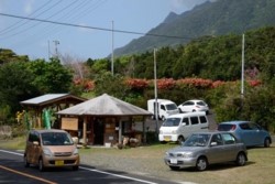 m_p005005002)県道沿いのニコニコ市.jpg