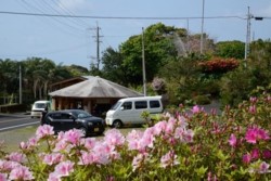 m_p005005003)花に囲まれている.jpg