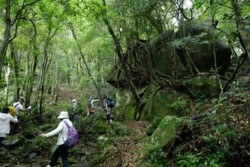m_p007002004)探検のような登山.jpg