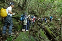 m_p007002005)登山道もない登山.jpg