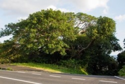 m_h001002011.jpg