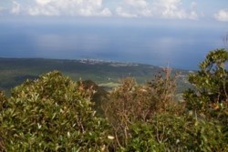 m_h002002016.jpg