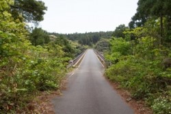 m_h005002023.jpg