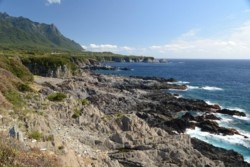 m_t001001003)小島の段丘海岸.jpg