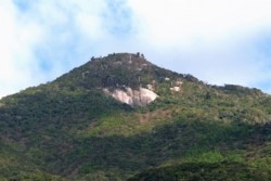 m_t001001007)芋塚岳山頂.jpg