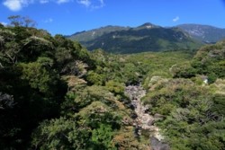 m_t001001010)鈴川と上流の山々.jpg