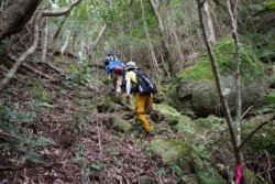 m_t002001004登山道急斜面登攀.jpg