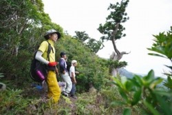 m_t002001005山頂近い見晴し.jpg