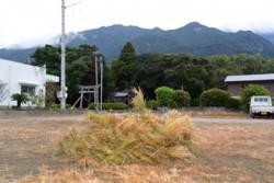 m_t002002005綱は会場に置く.jpg