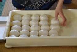 m_t002003003主役のにんこ.jpg