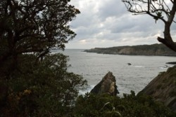 m_t002005004)山の瀬日没方向海.jpg