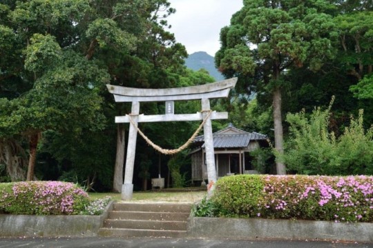 m_t003001001)小島神社.jpg